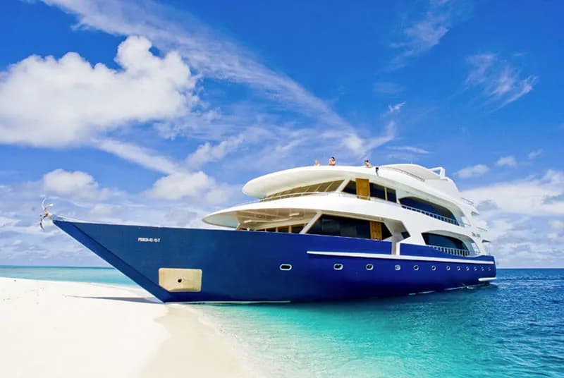 Duke of York Liveaboard