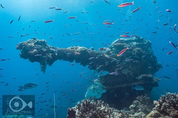 Truk Lagoon Scuba Diving Truk Lagoon Scuba Diving