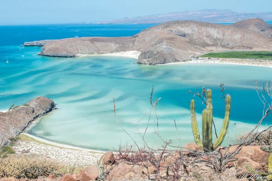 La Paz Dive Trip Report La Paz Dive Trip Report