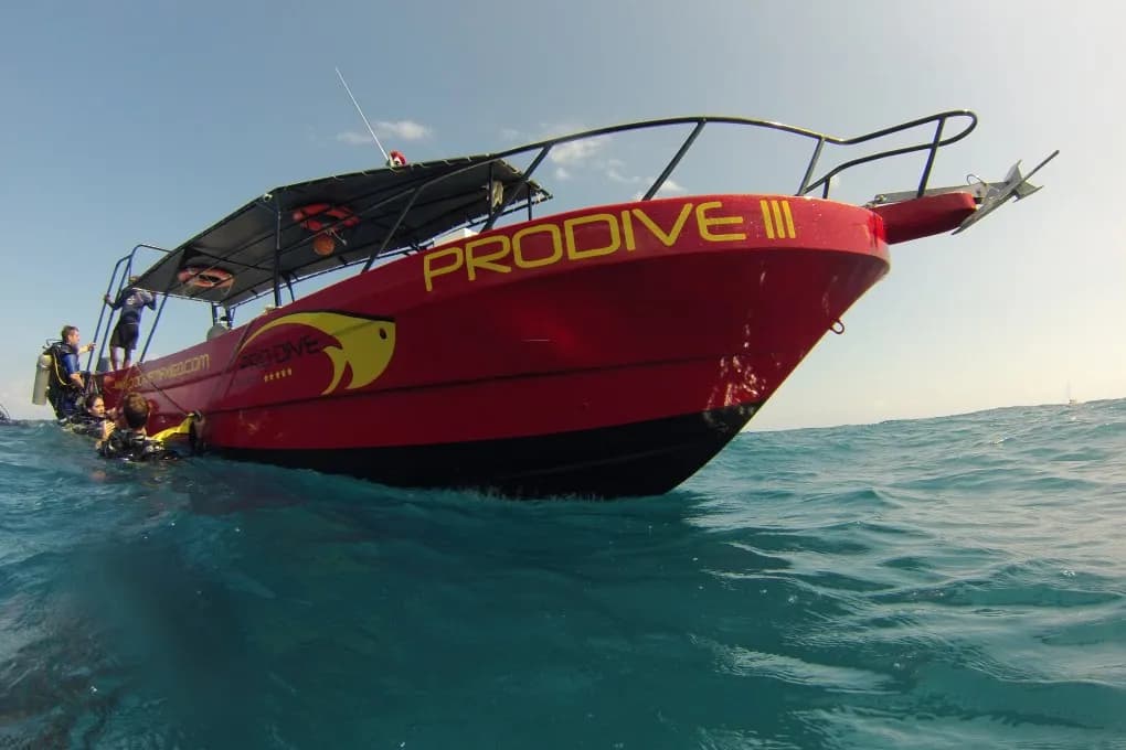 Pro Dive International Pro Dive International