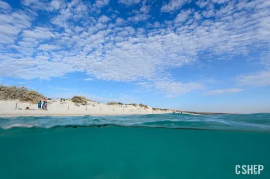 Ningaloo Reef Trip Report Ningaloo Reef Trip Report