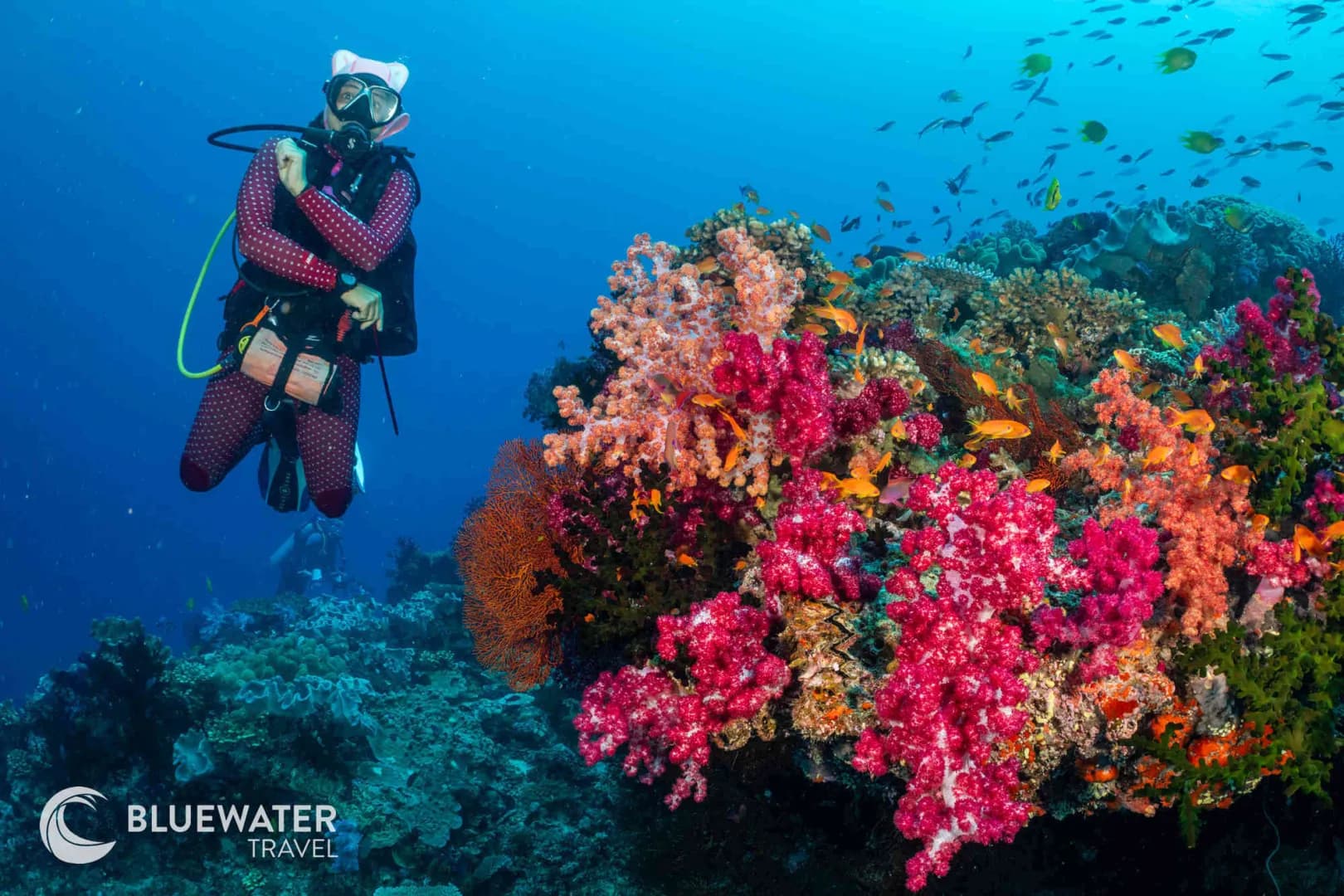 A diver poses underwater A diver poses underwater