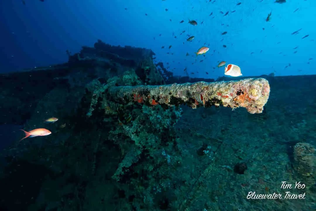 scuba diving in the red sea