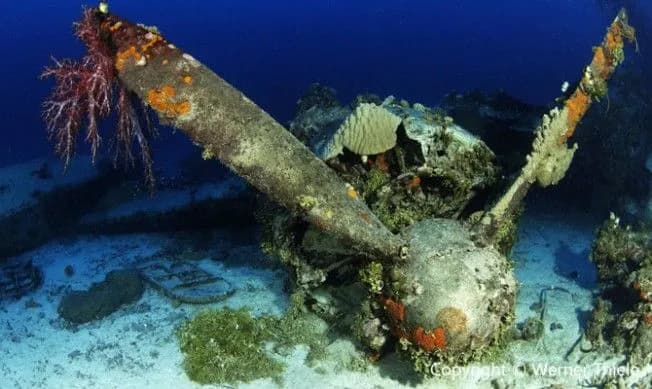 A wrecked airplane on the sea floor in Truk Lagoon
