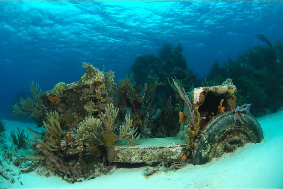 Bahamas scuba diving