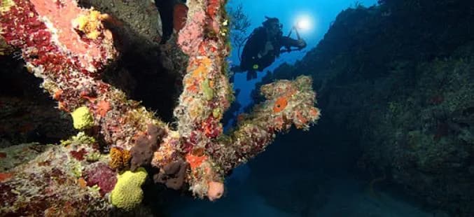 Scuba diving Turks and Caicos