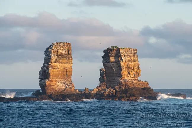 Galapagos Diving Darwin's Arch