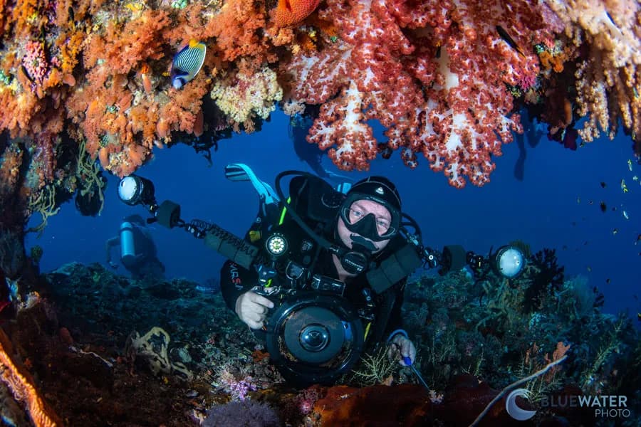 A diver explores the corals