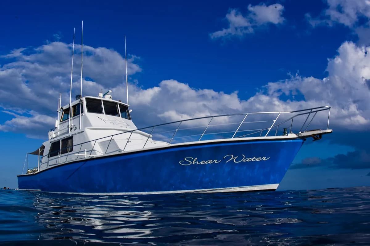 M/V Shear Water Liveaboard exterior