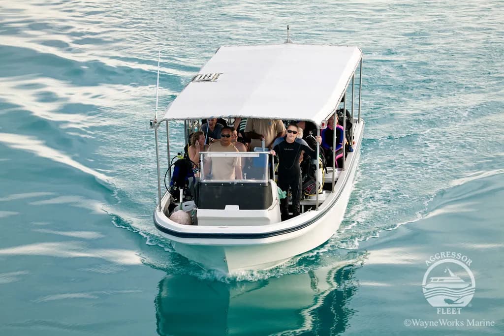 liveaboard dive boat