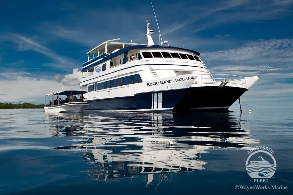 Rock Island Agressor Liveaboard Palau