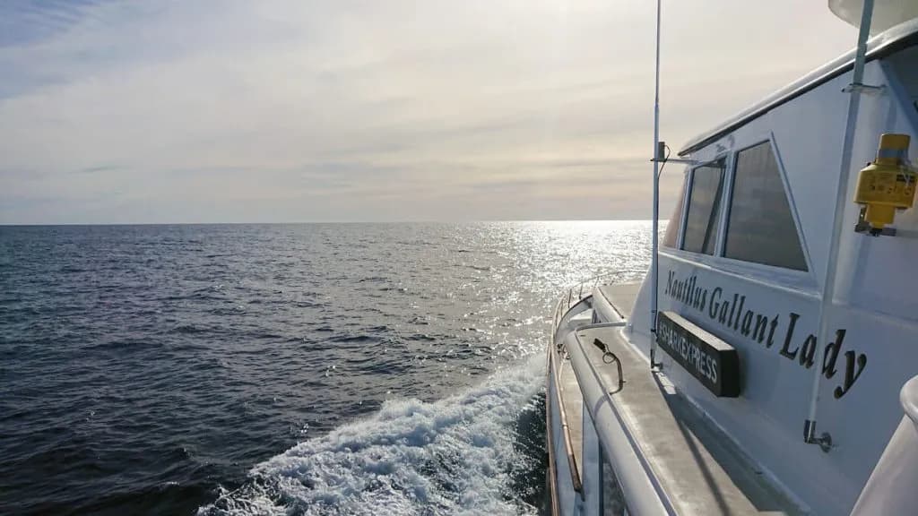 The Nautilus Gallant Lady Liveaboard sails the open sea