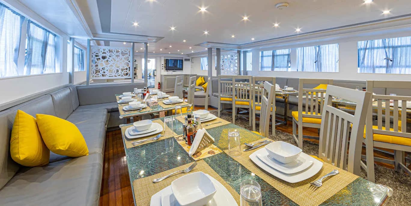 Indoor lounge area with couches