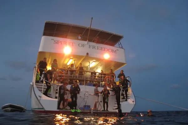 liveaboard diving australia