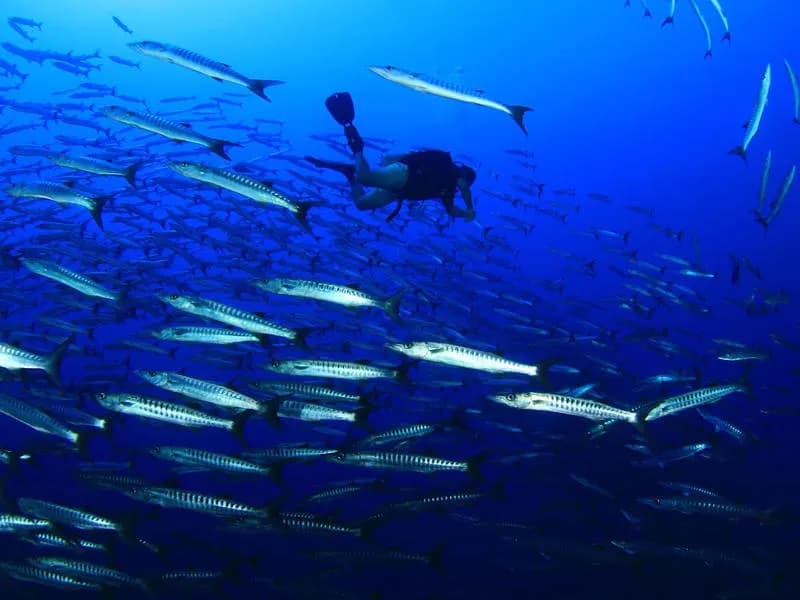 M/Y Almonda Liveaboard