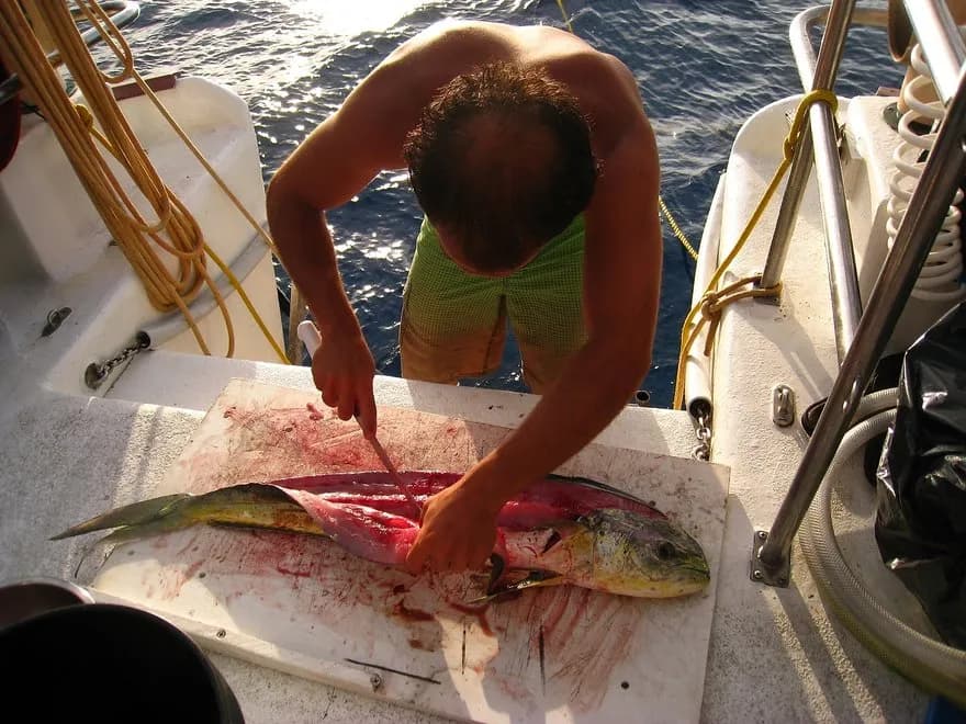 Blackbeard's Cruises Bahamas Liveaboard