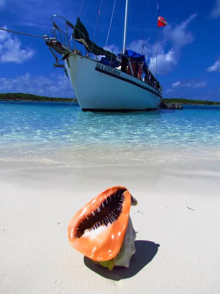 Blackbeard's Cruises Bahamas Liveaboard