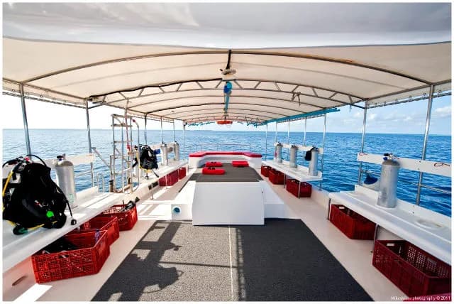 Theia Liveaboard