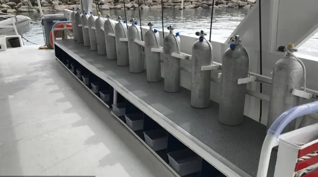 Caribbean Explorer II