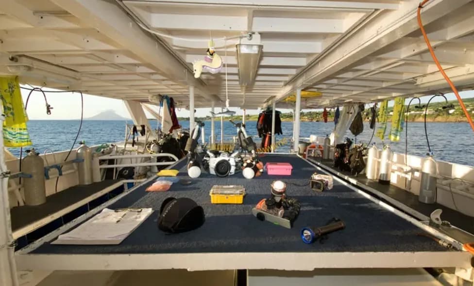 Caribbean Explorer II