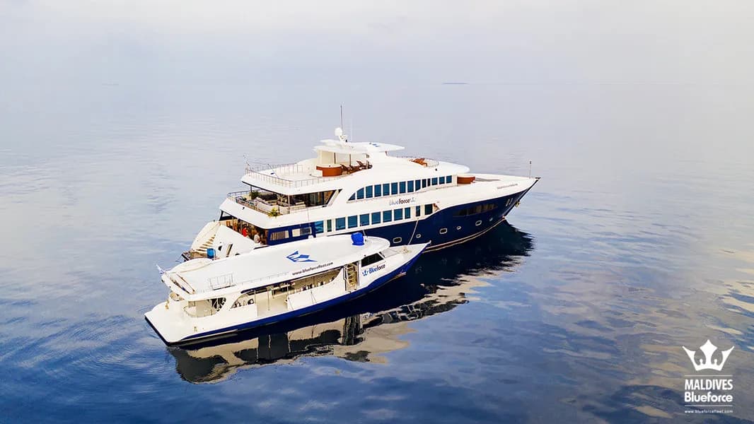 Maldives Blue Force One