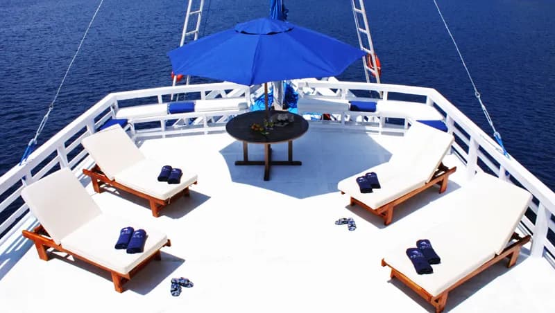 pearl of papua liveaboard