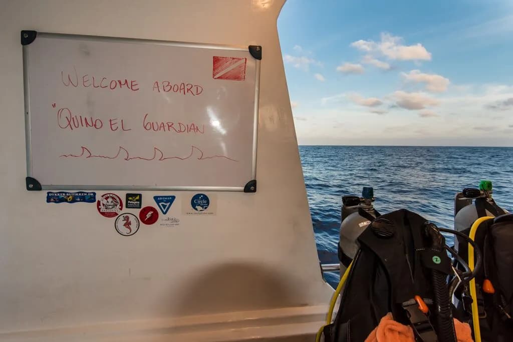 dive liveaboard