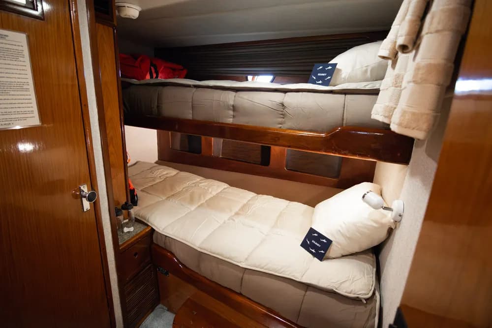 Solmar V Liveaboard interior cabin