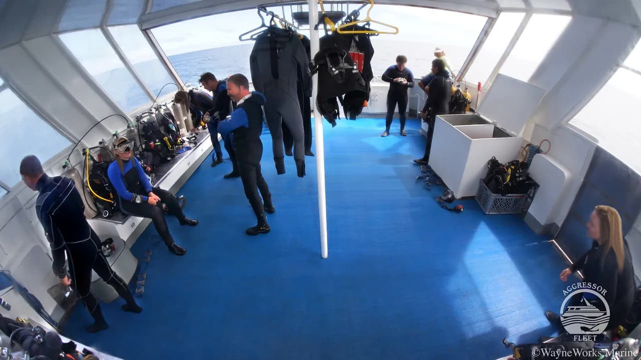 Divers prepare on the dive deck of the Galapagos Aggressor III Liveaboard