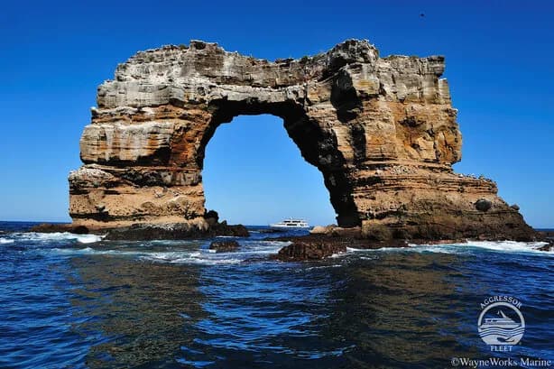 Stunning topside topography in the Galapagos