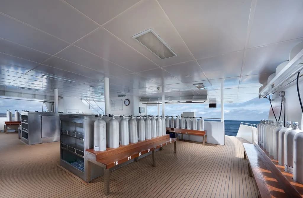 Dive Deck