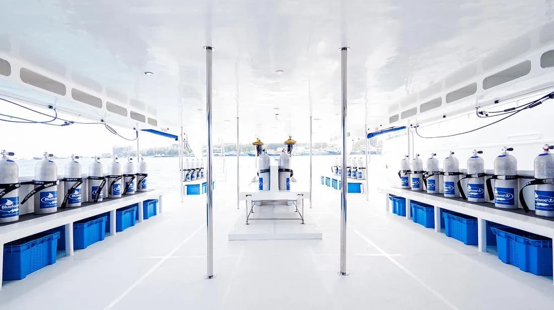 Maldives Blue Force 3