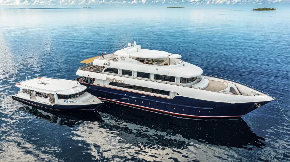 Maldives Blue Force 3