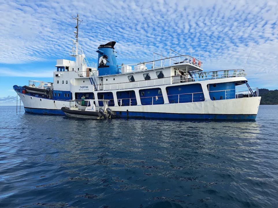 The SS Thornfinn on the water
