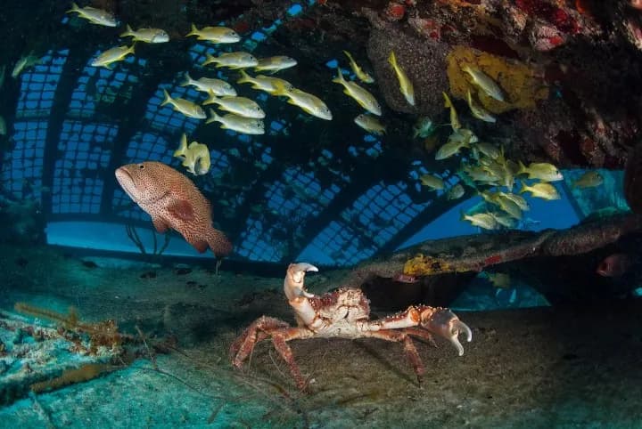TURKS AND CAICOS EXPLORER II