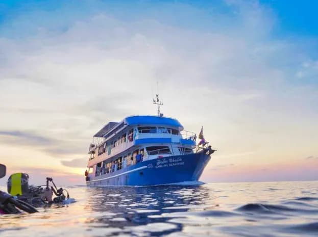 The Smiling Seahorse