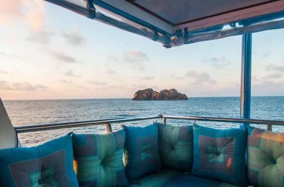 The Smiling Seahorse