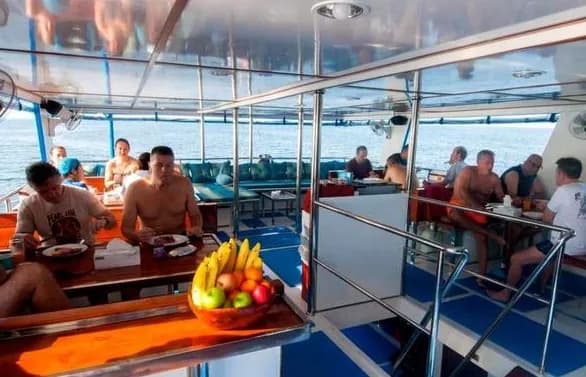 The Smiling Seahorse