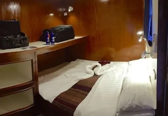 The Smiling Seahorse