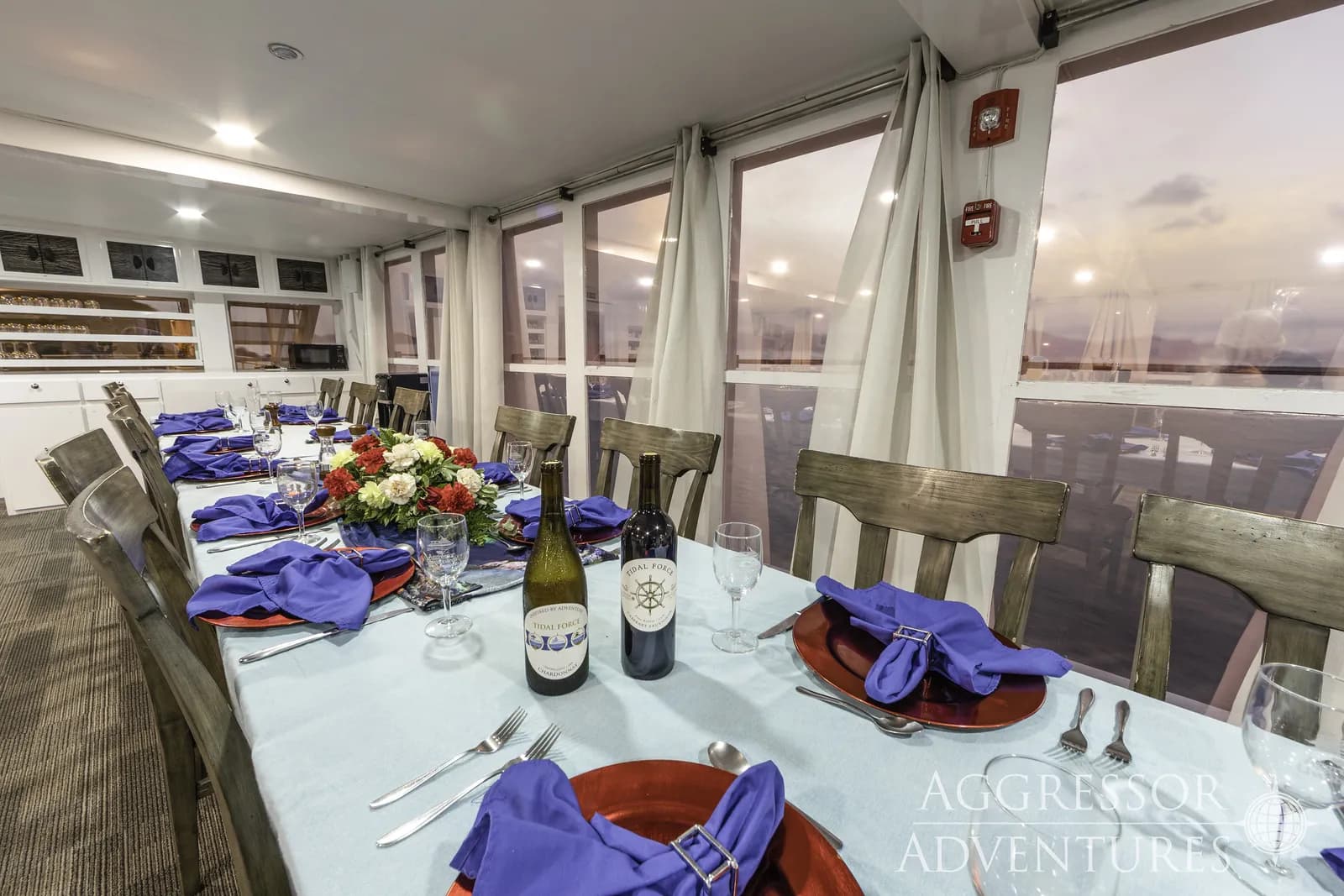 Bahamas Aggressor II