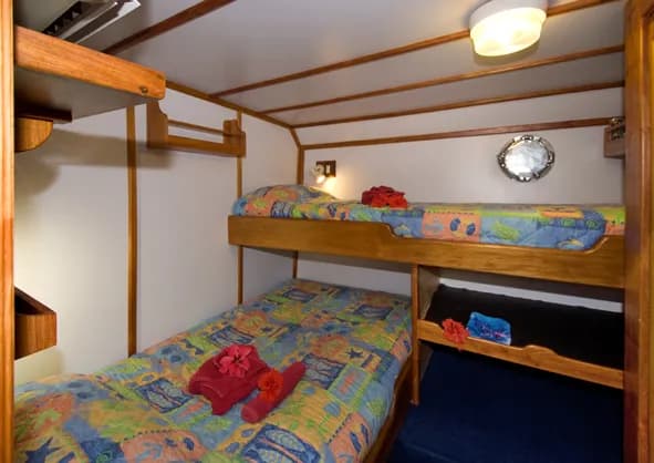 Double Twin Cabin aboard the MV FeBrina