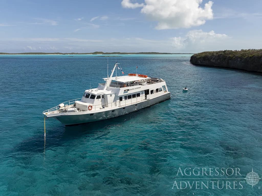 Bahamas Aggressor
