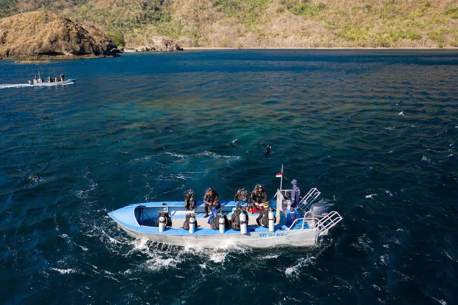 MSY Seahorse (Wallacea Dive Cruises) Liveaboard