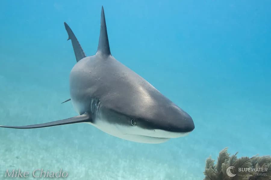 belize-trip-report-2022-29