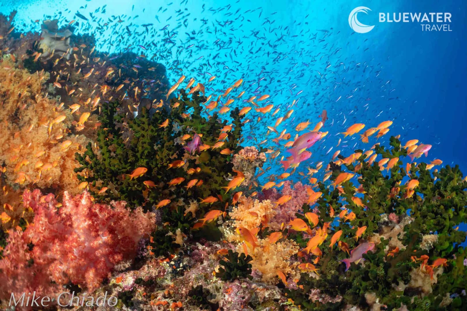 fiji-trip-report-nov-2024-12