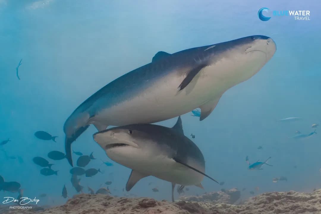 13 - 2024-02-02 003-0039-Edit