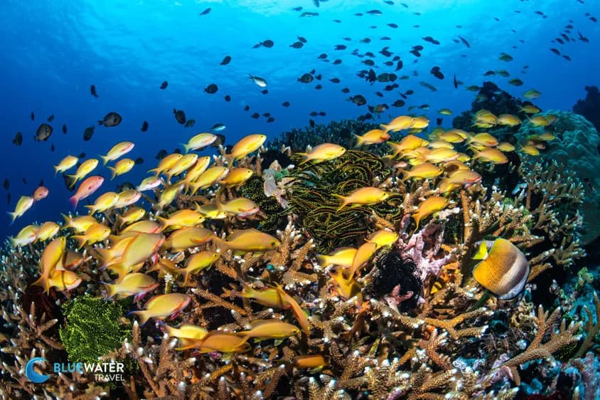 dumaguete-2024-18-nirupamnigam