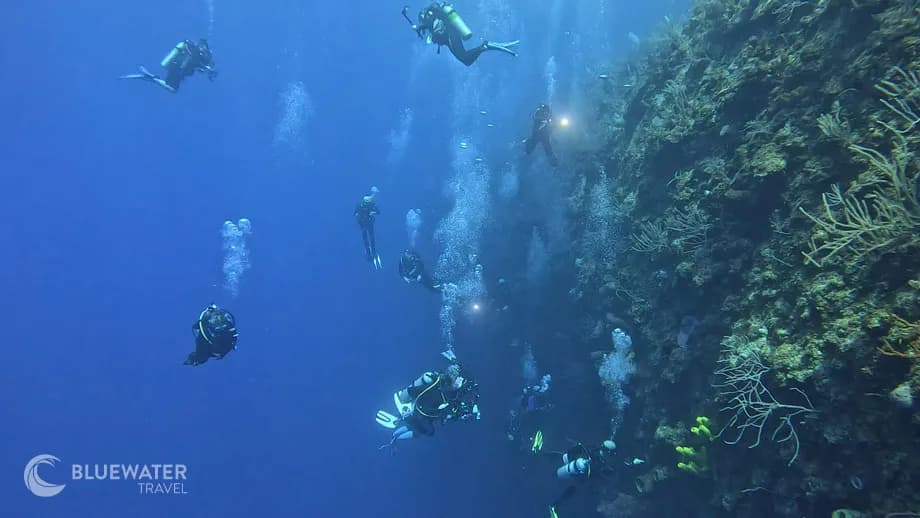 little-cayman-great-wall